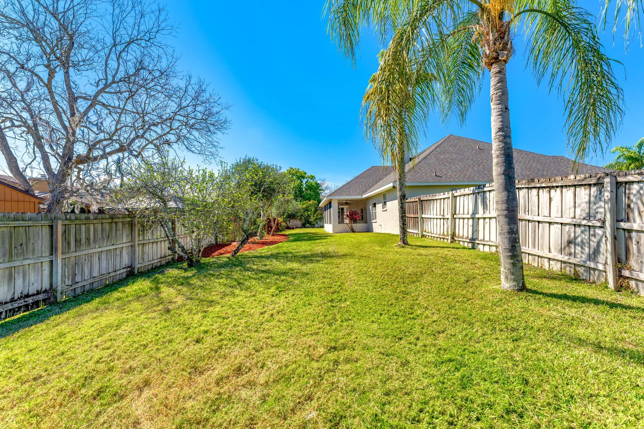 backyard 2.jpg