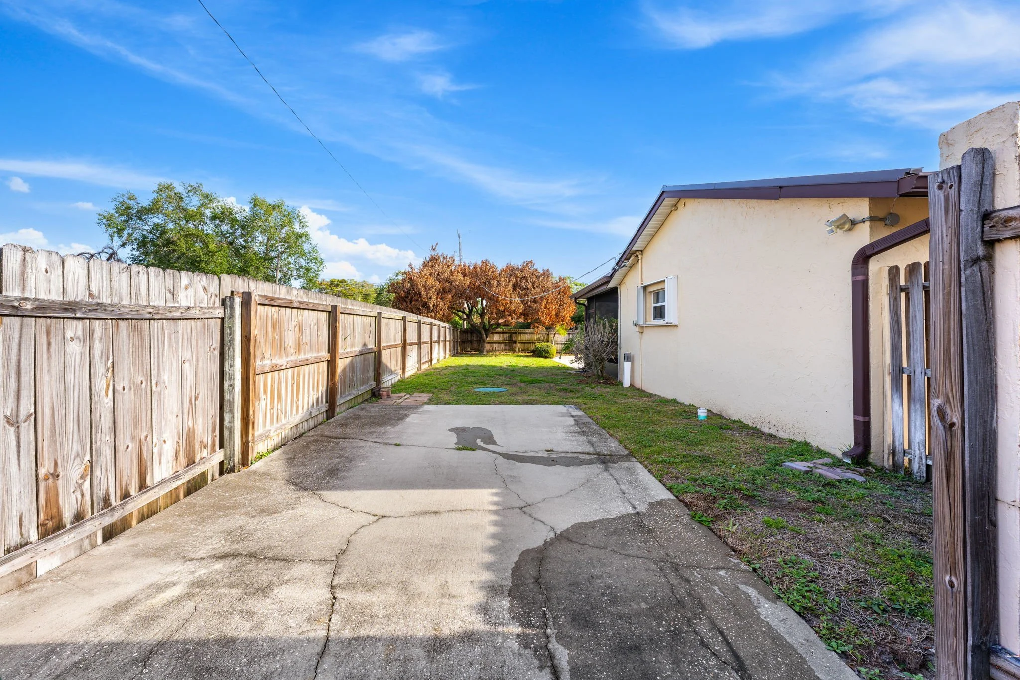 side yard.jpg