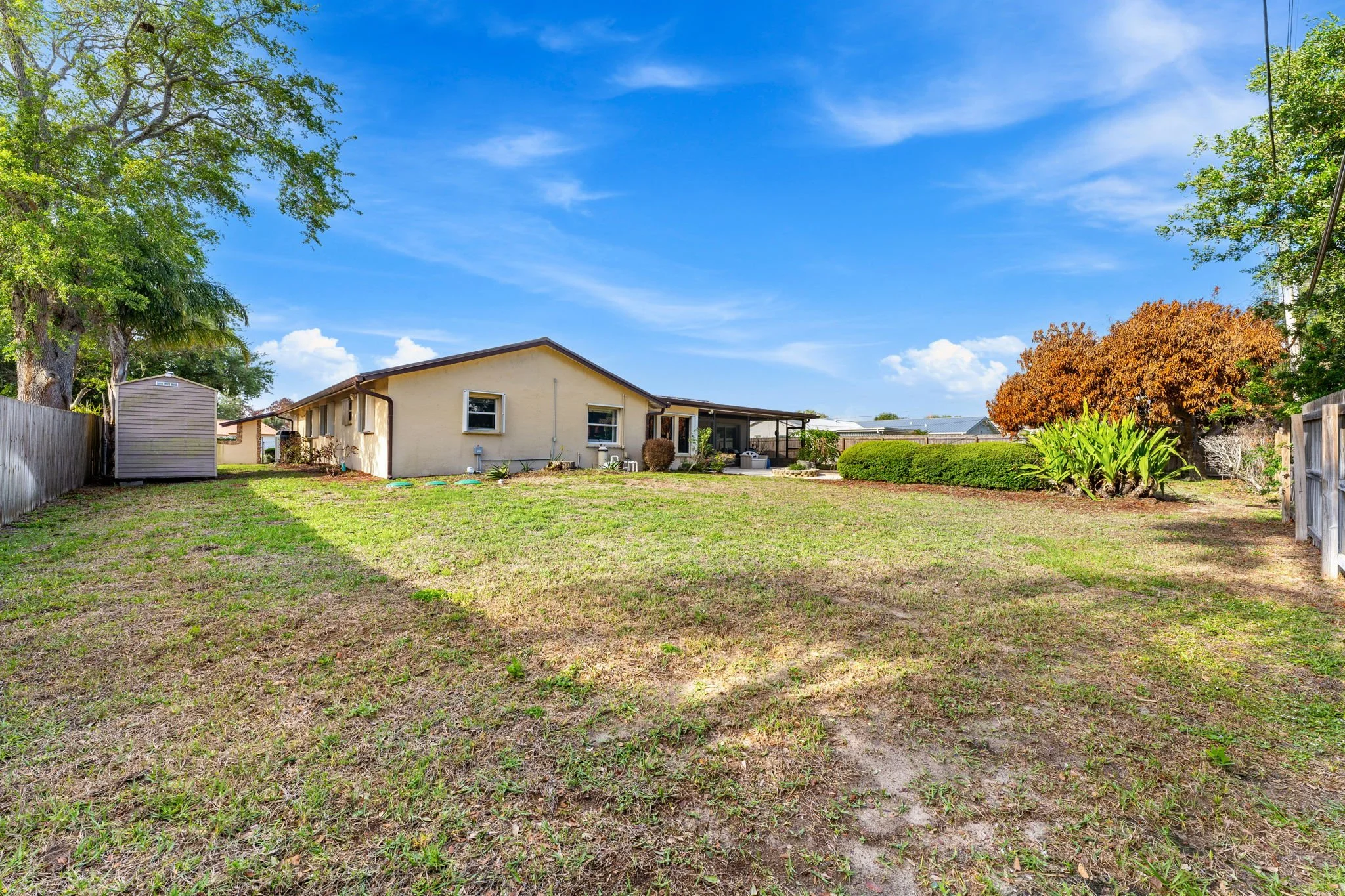 backyard 2.jpg