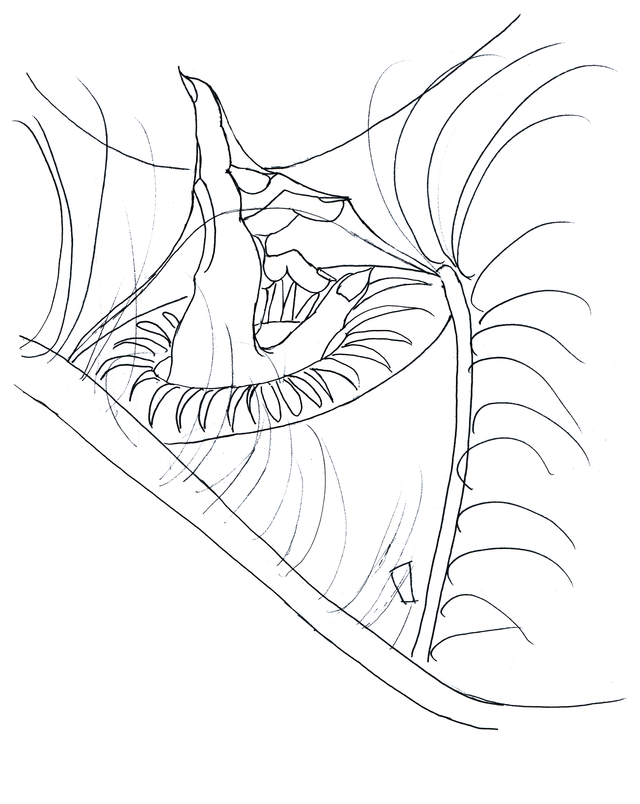 portal lineart.png