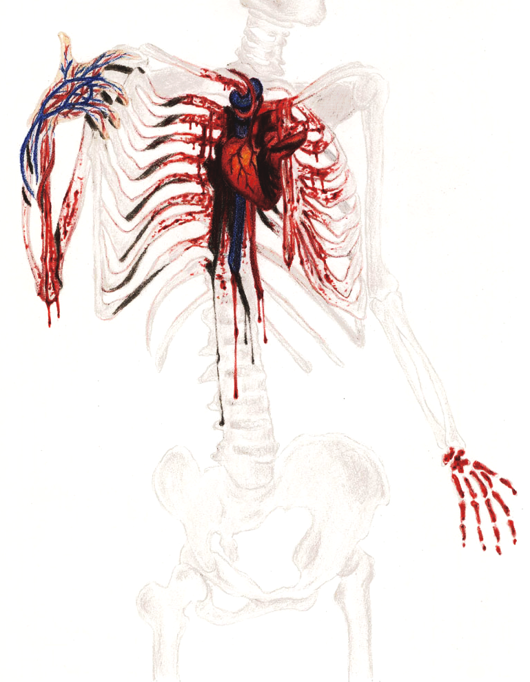 not-so-secret compartment copy.png