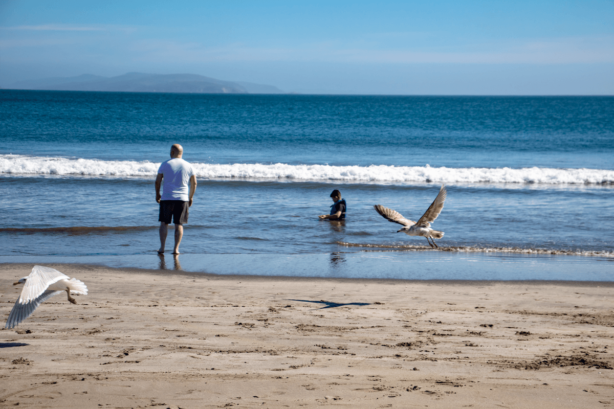 IMG_7982 edit1 small.png