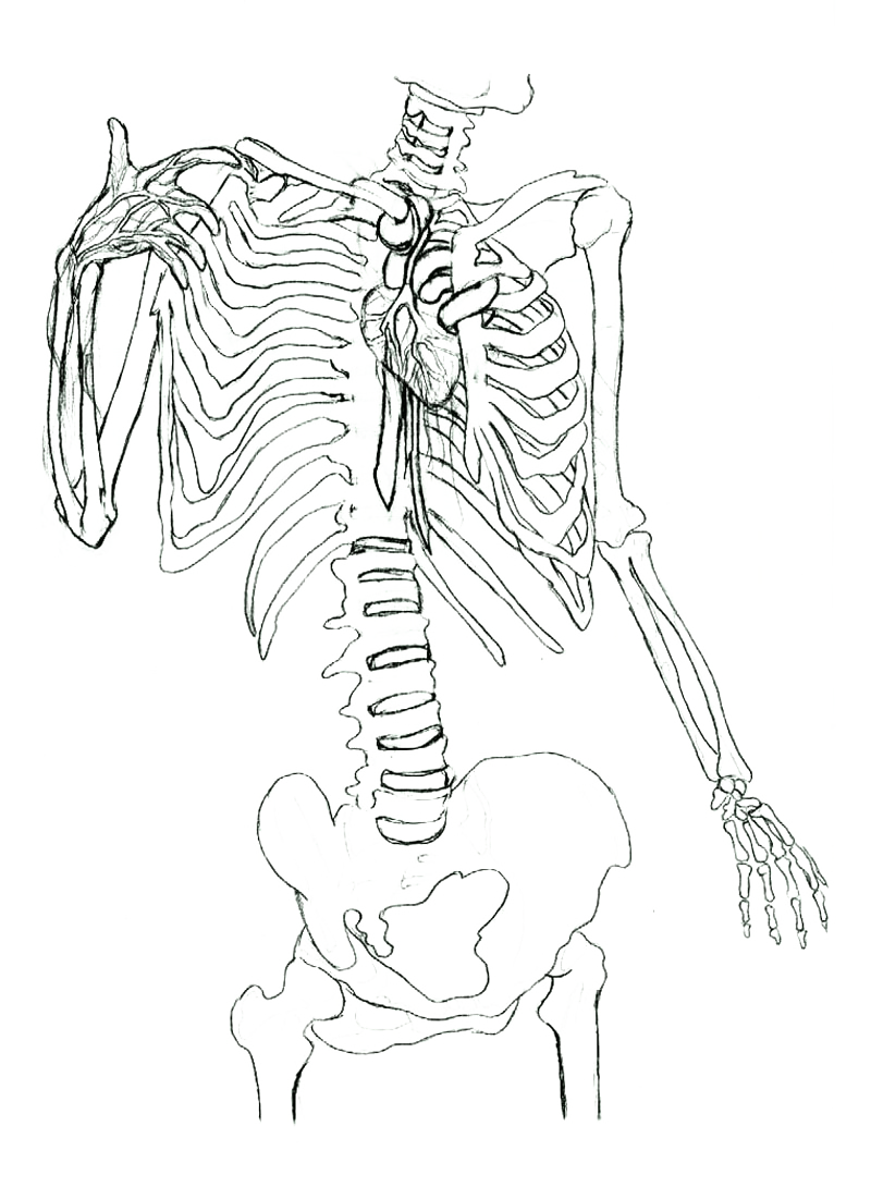 not-so-secret compartment lineart.png