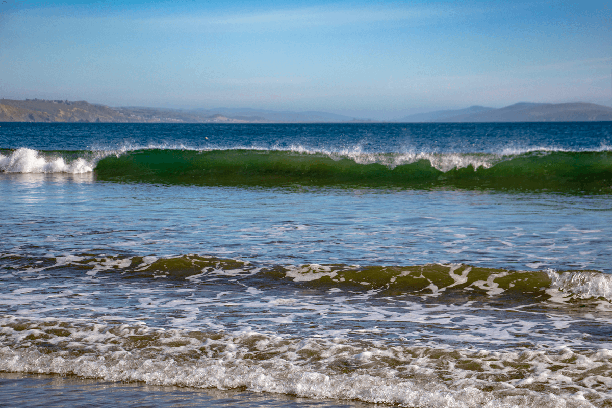 IMG_8257 edit1 small.png