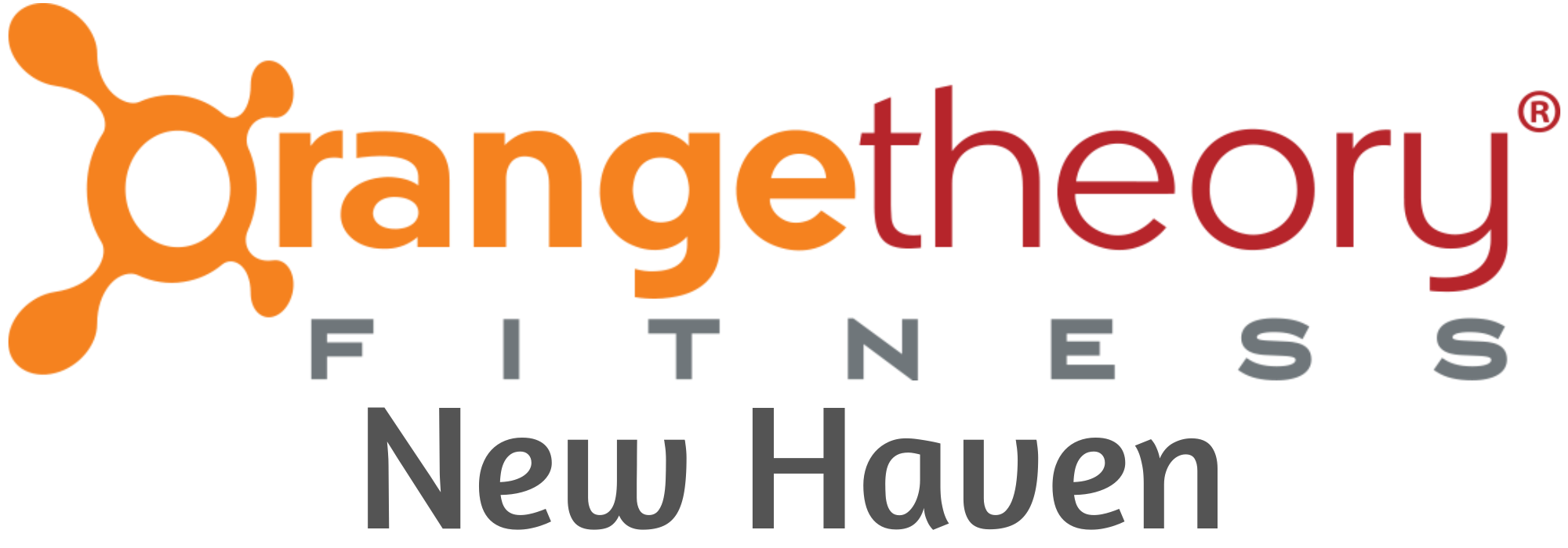 New Haven logo (clear background).png