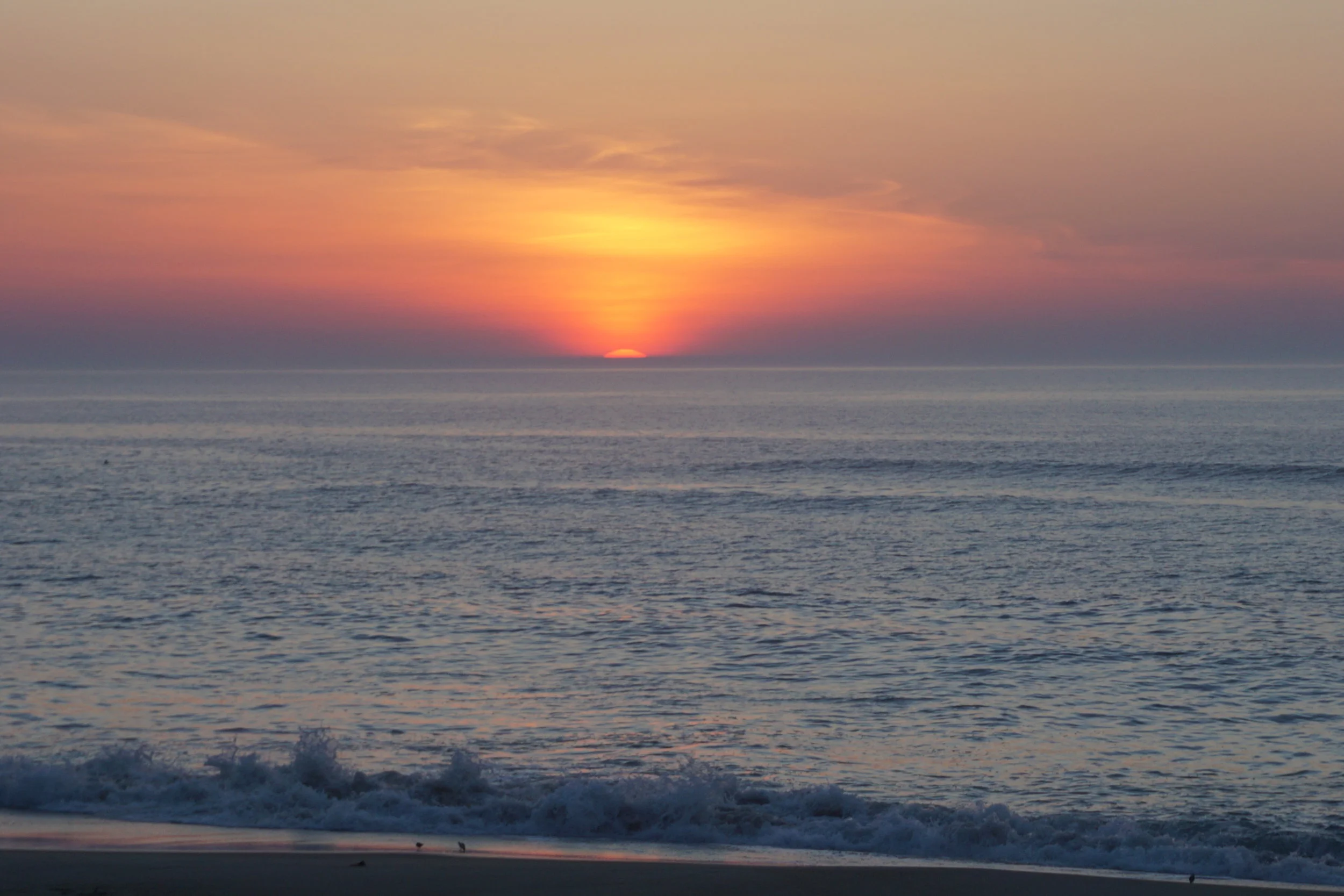 DSC07500.JPG