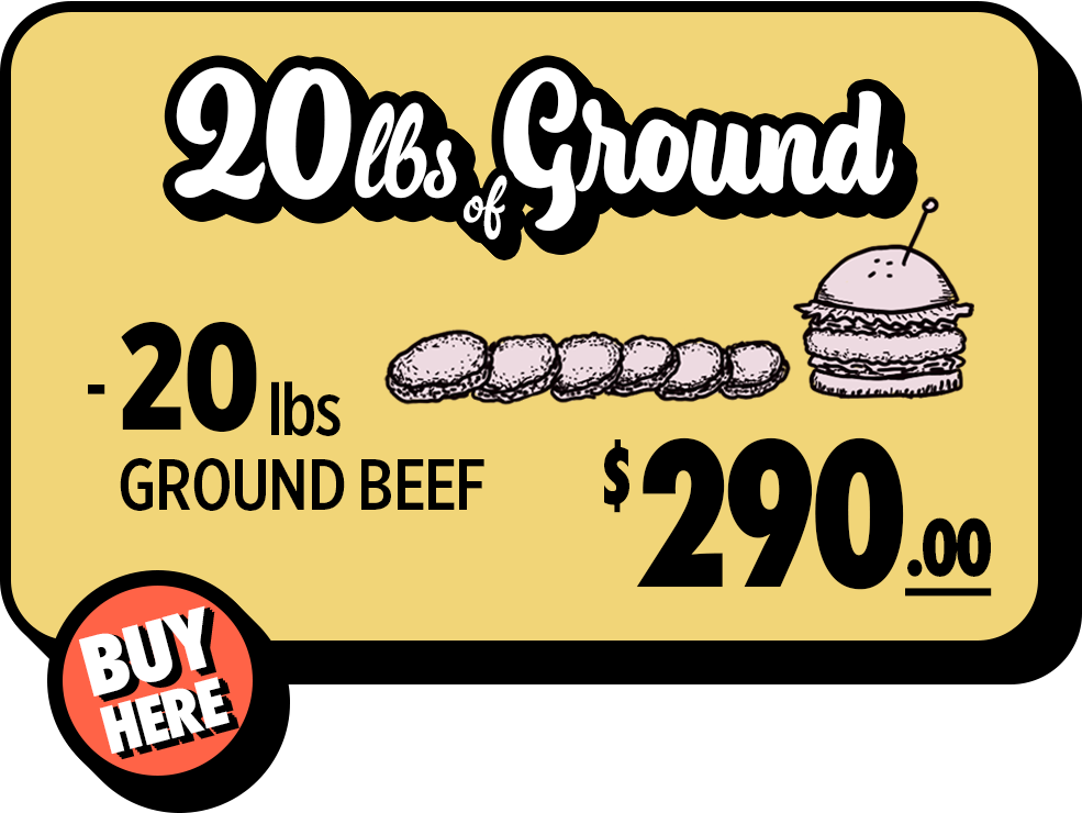 20 lbs of ground beef box which includes 20 single pound packages of grass fed ground beef