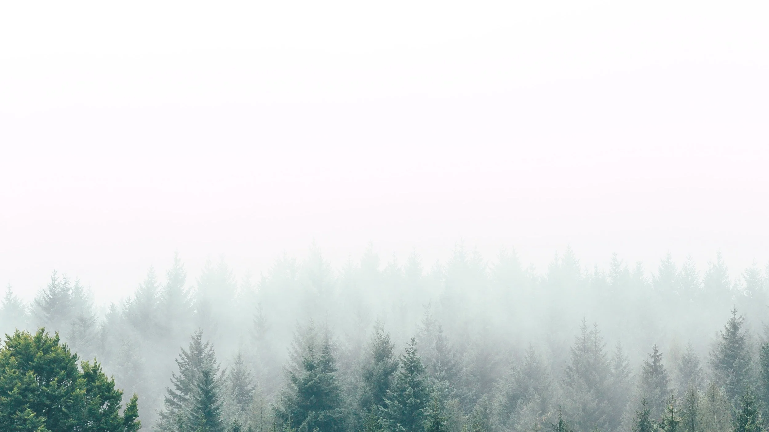Trees Home.jpg