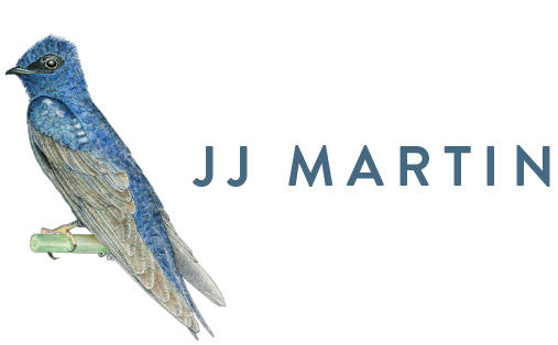 JJ Martin