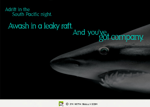 ill_shark.jpg