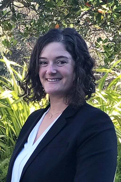 Business Dispute and Employment Lawyers Bay Area — Berman North