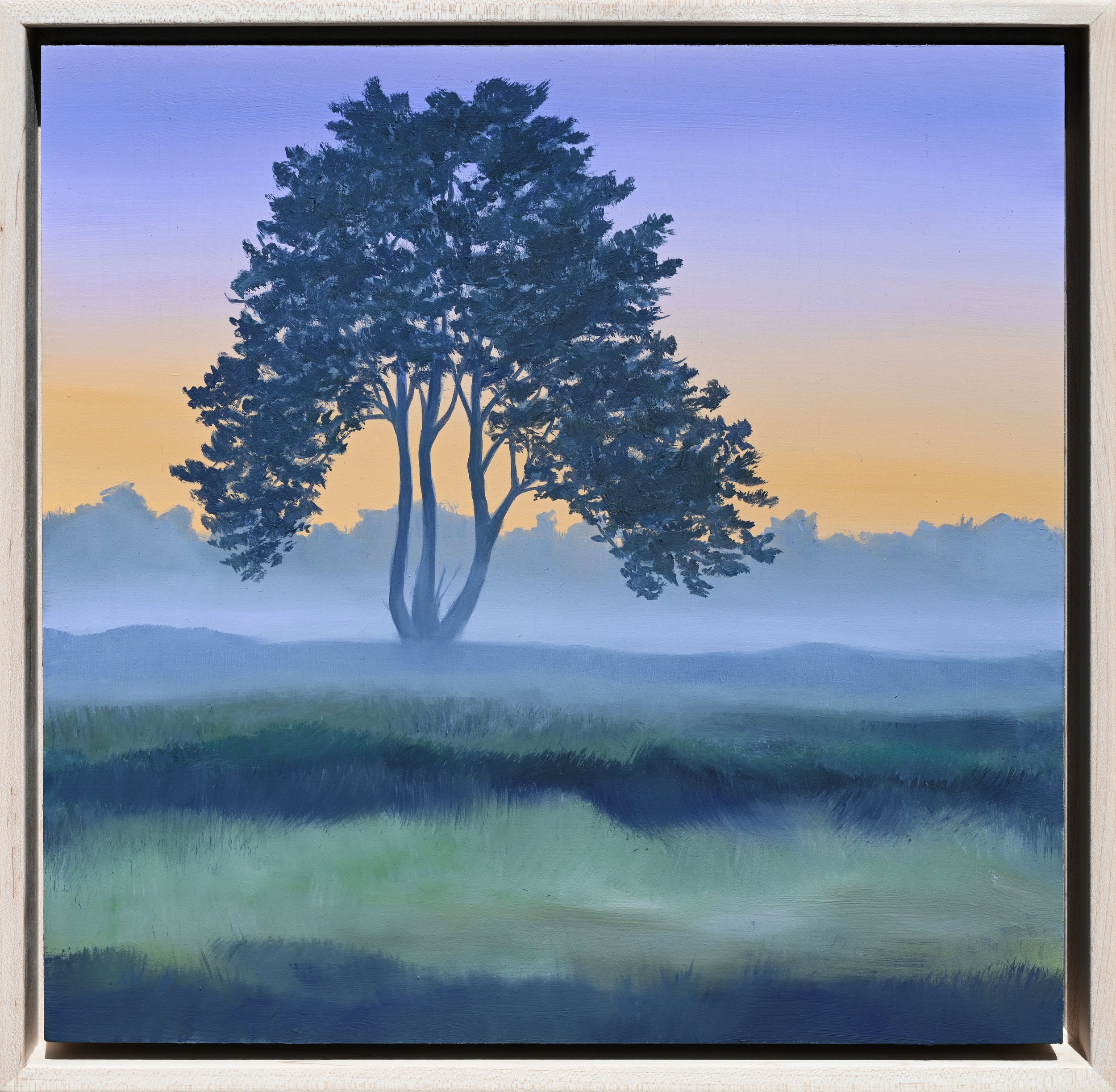 'Mists at Dawn'