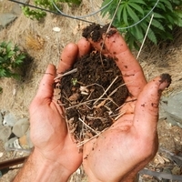 Building Living Soil