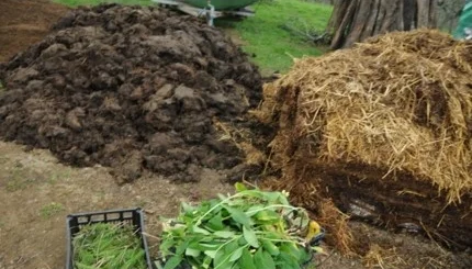 compost_structure.jpg