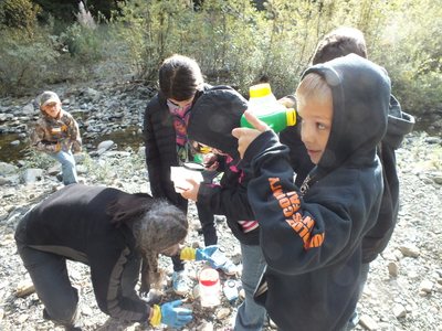 Van Duzen River - More Kids in the Woods