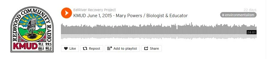 algae_soundcloud_power.jpg