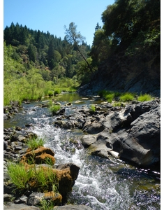 Lower Outlet Creek – 5/12/12