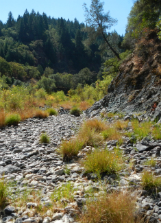 Lower Outlet Creek – 9/6/12 