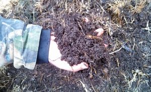 Applying Compost