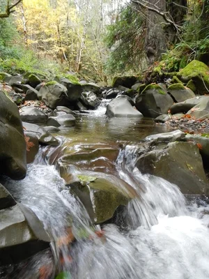 water_flowing_300x400.jpg