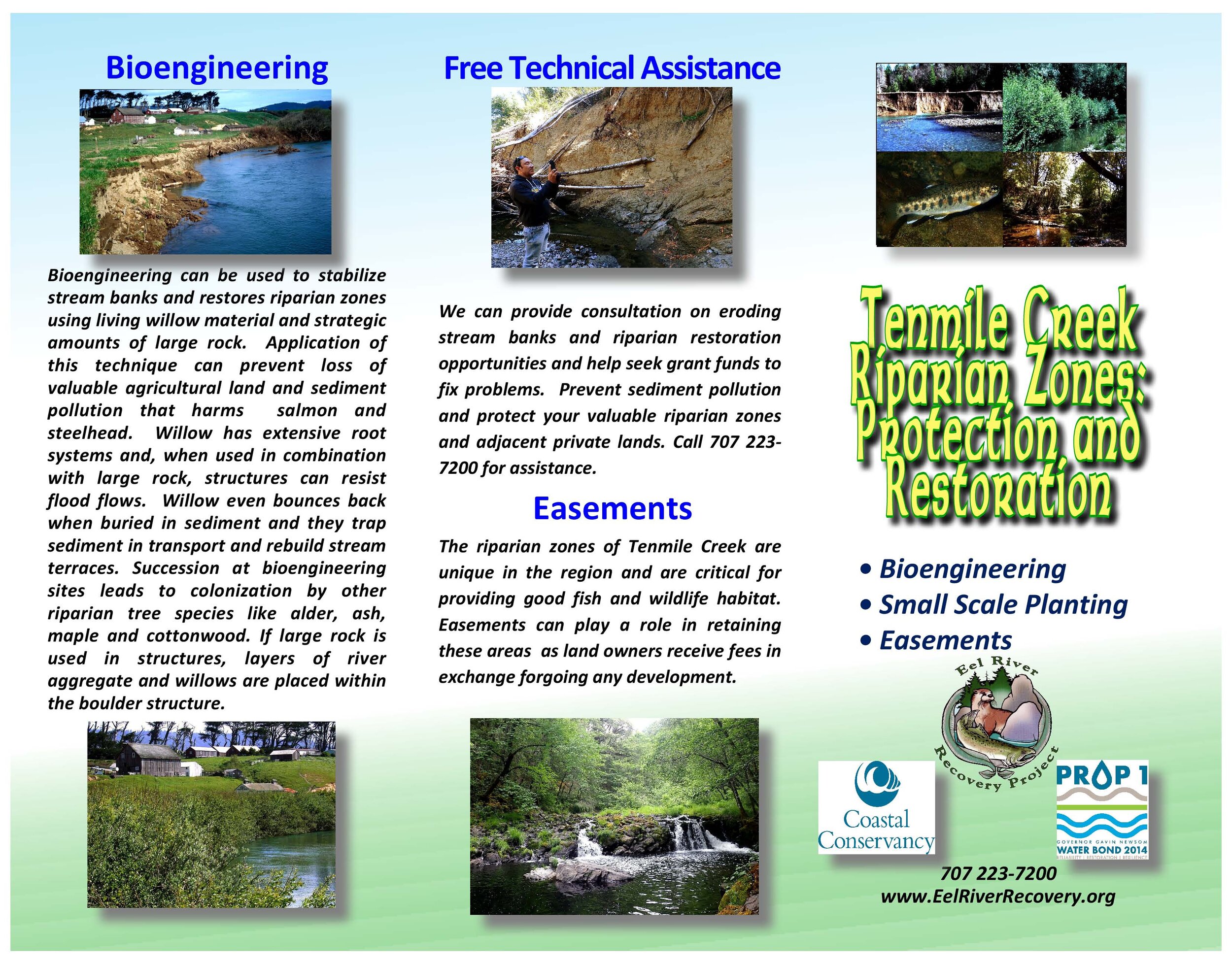 Tenmile Reparian Brochure Final_Page_1.jpg