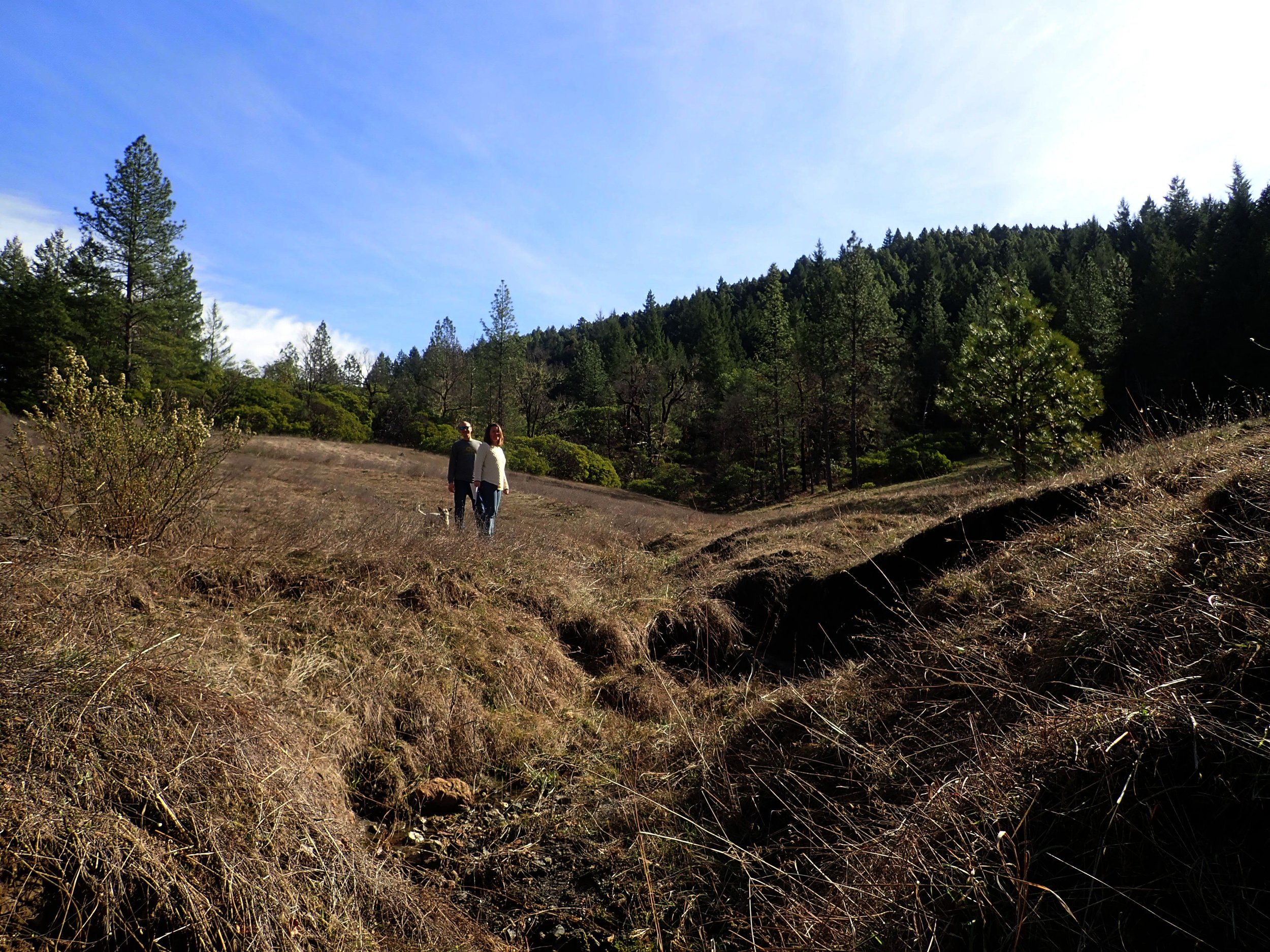 Erosion Control