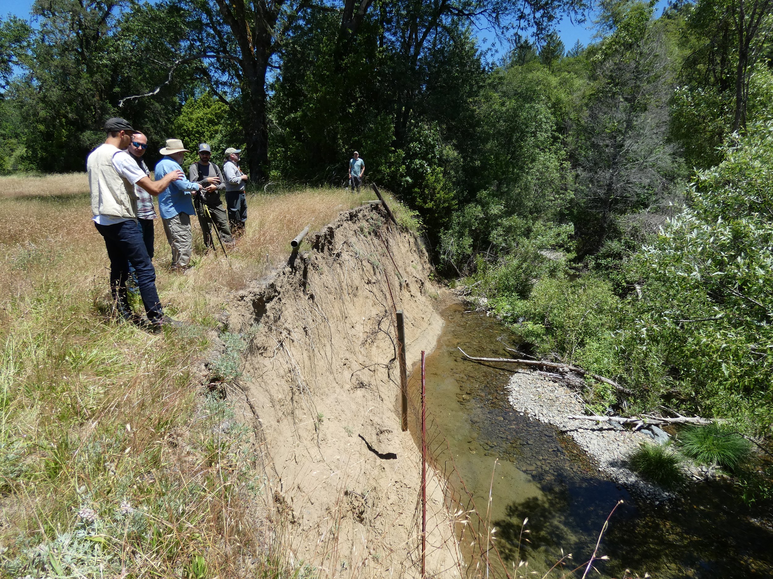 Riparian Restoration