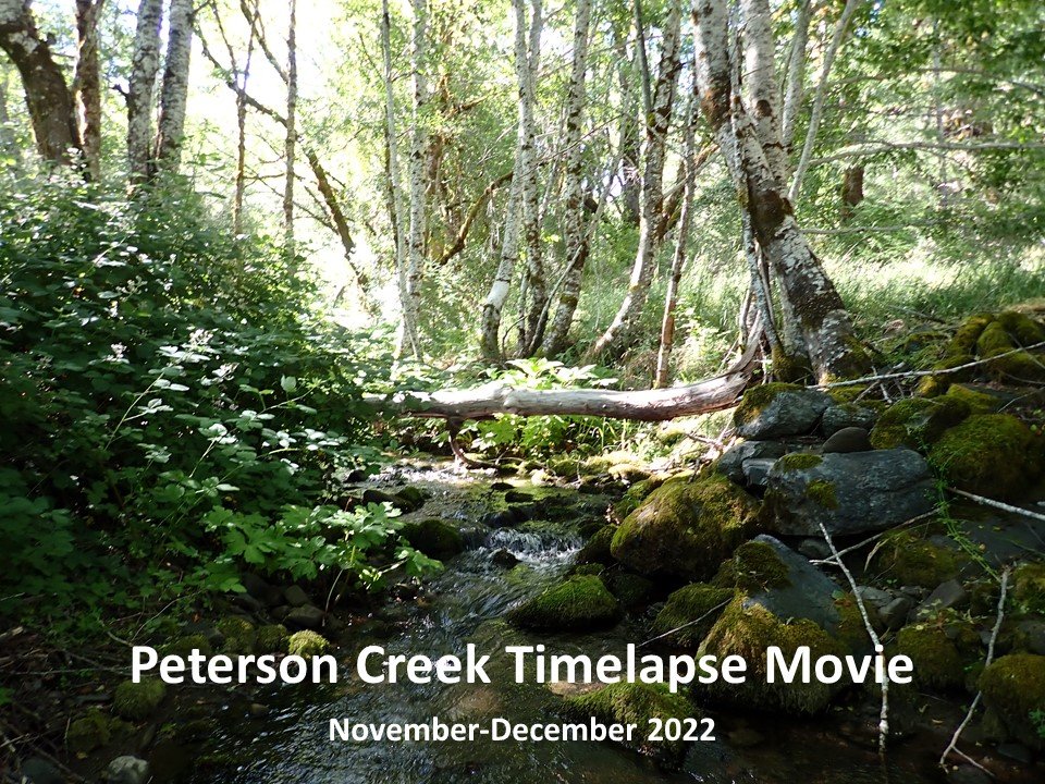 Peterson_TL_2022_Cover.jpg
