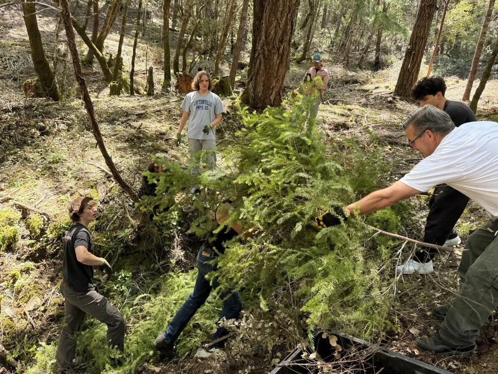 Ecological Restoration