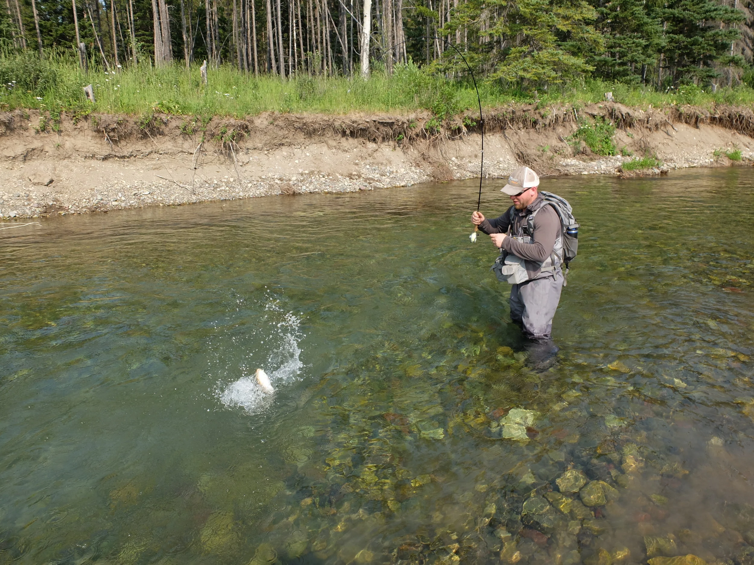 Fish on!