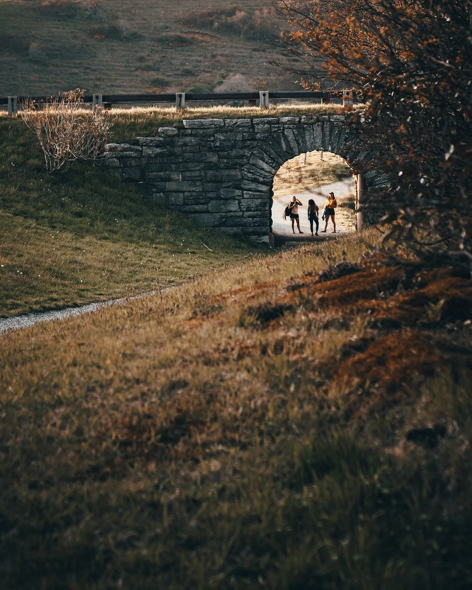 _A730931.jpg
