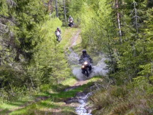3-MC-i-skogen_mini-300x226.jpg