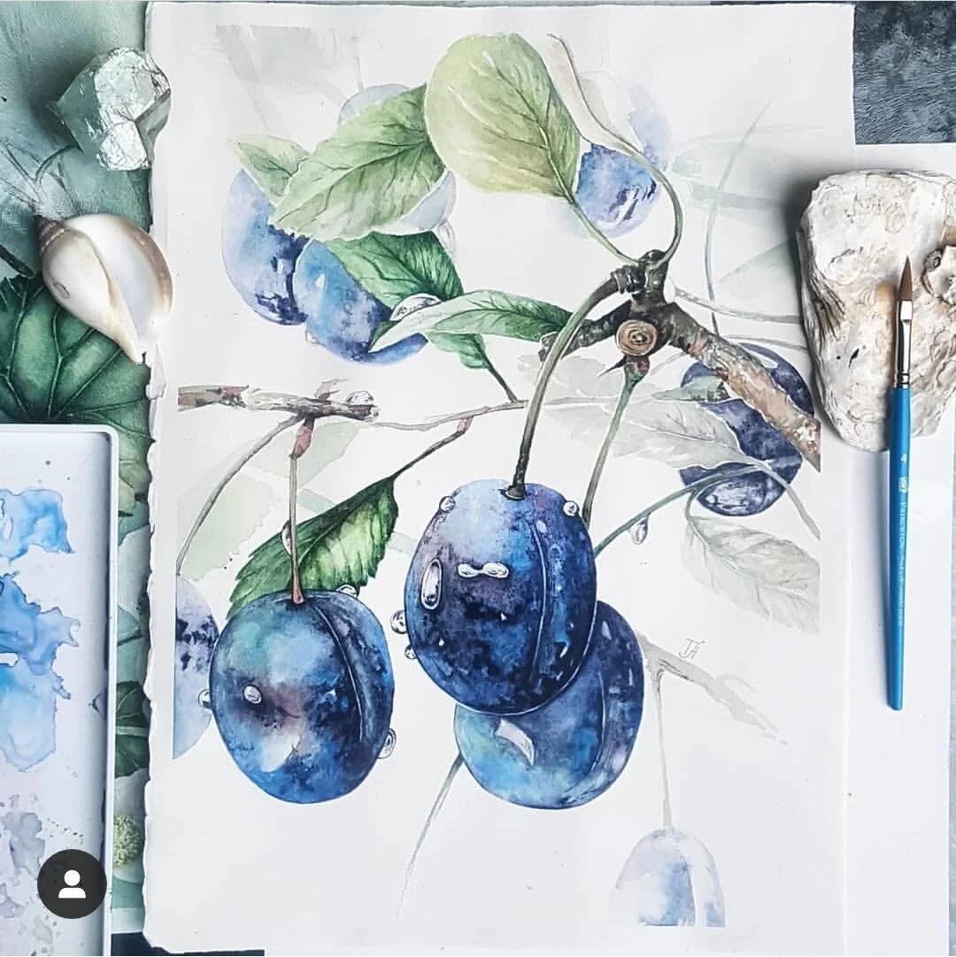 Screenshot_20190425-184516_Instagram.jpg