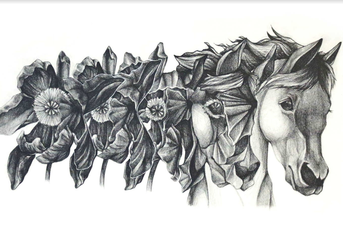 Screen Shot 2021-07-23 at 11.05.37 AM.png