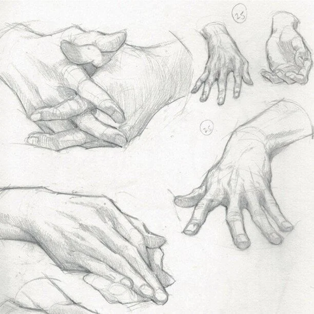 Art for Adults — Green Apple Art Center