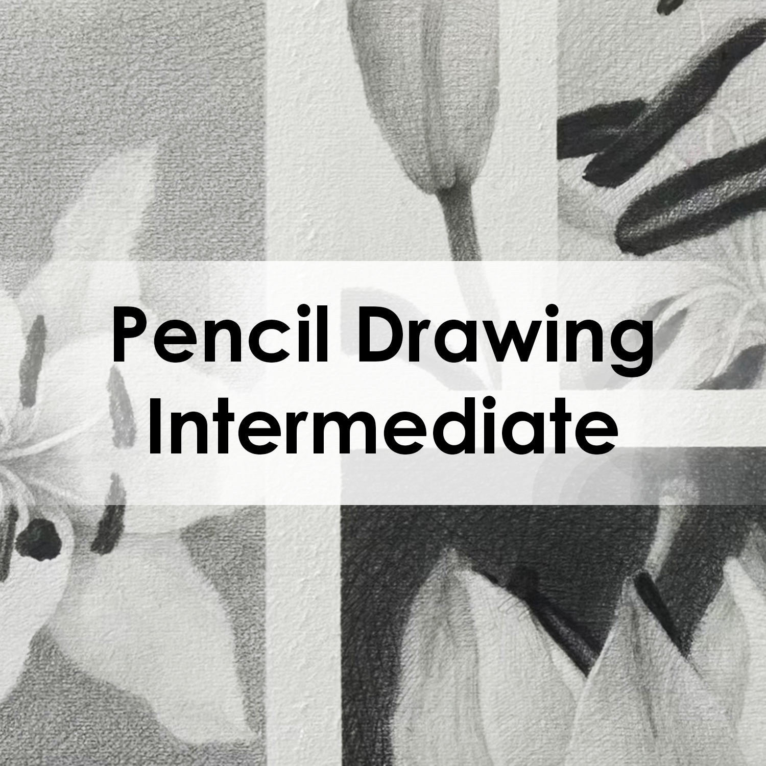 Pencil Drawing-I.png