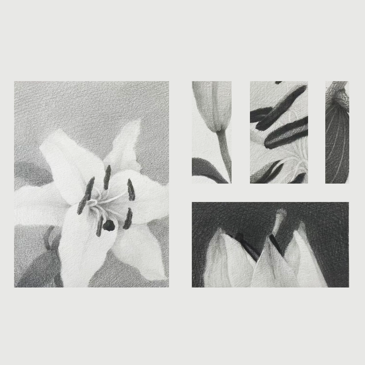 Pencil-I6.png