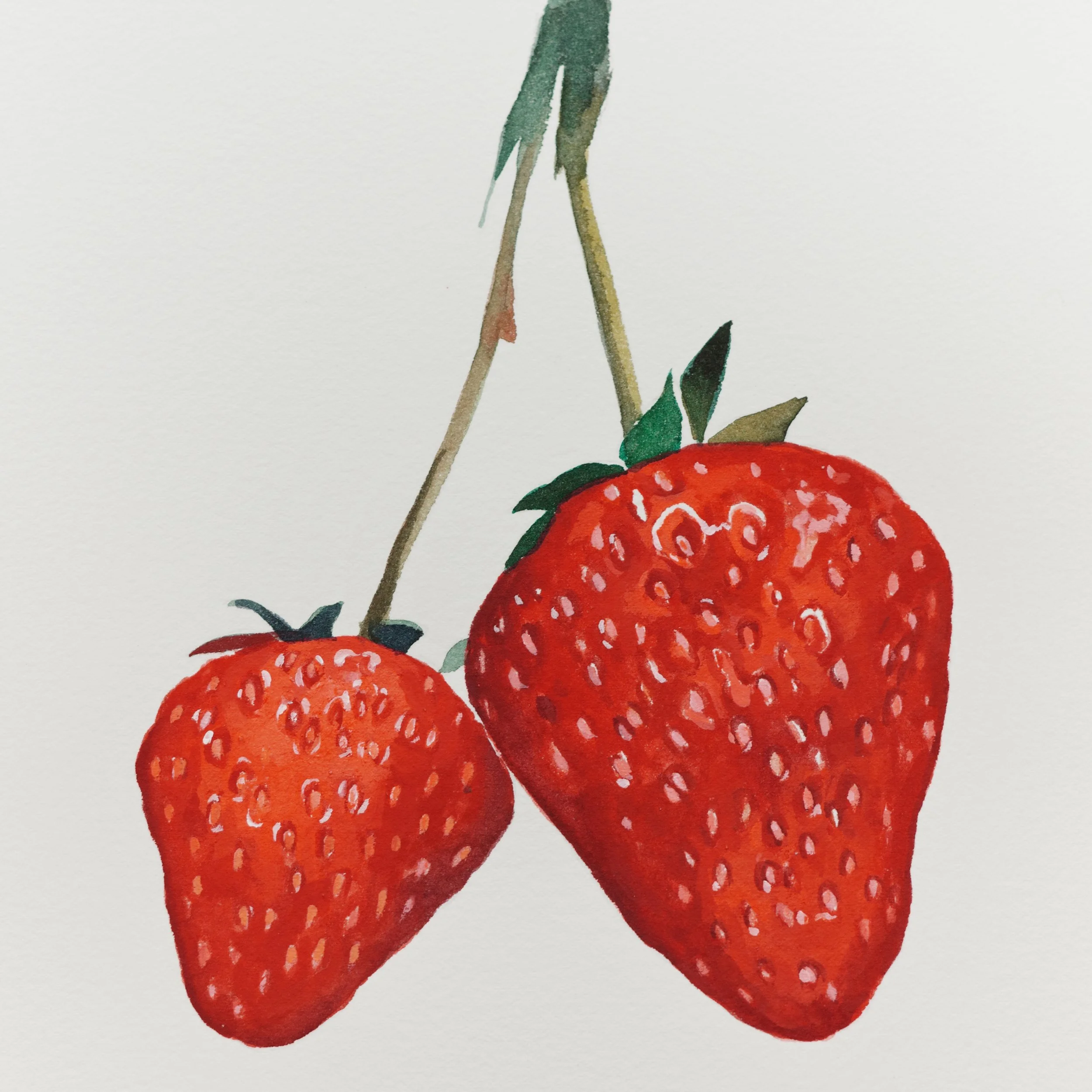 Strawberry.JPG