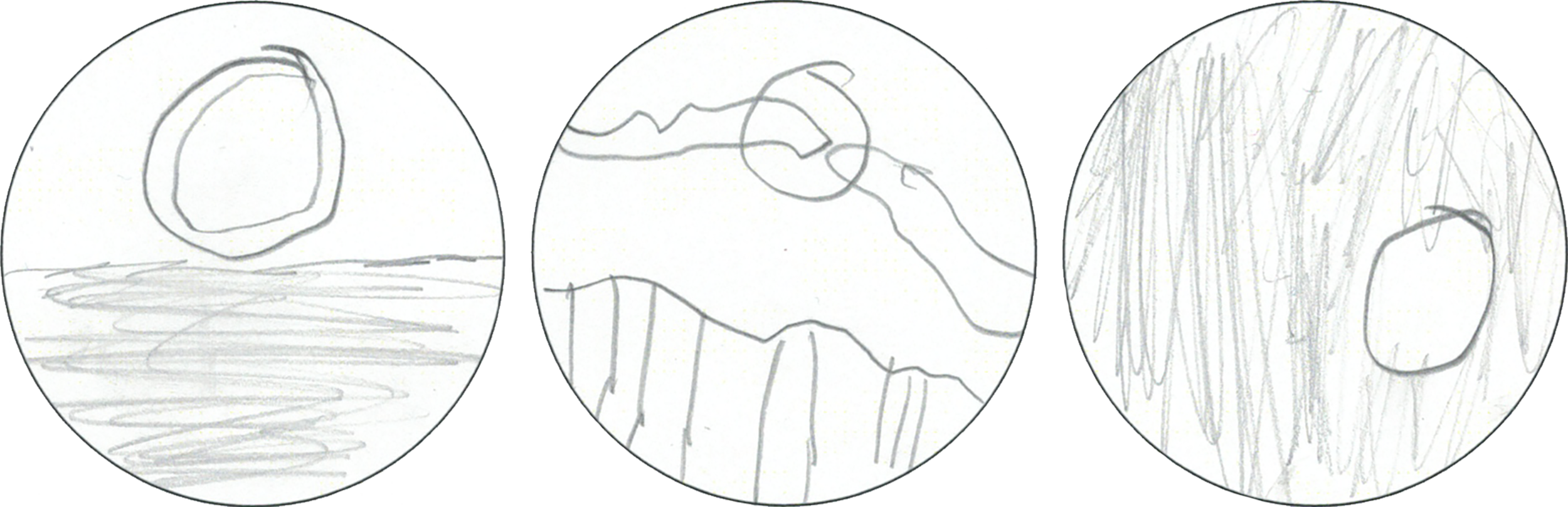 13.png