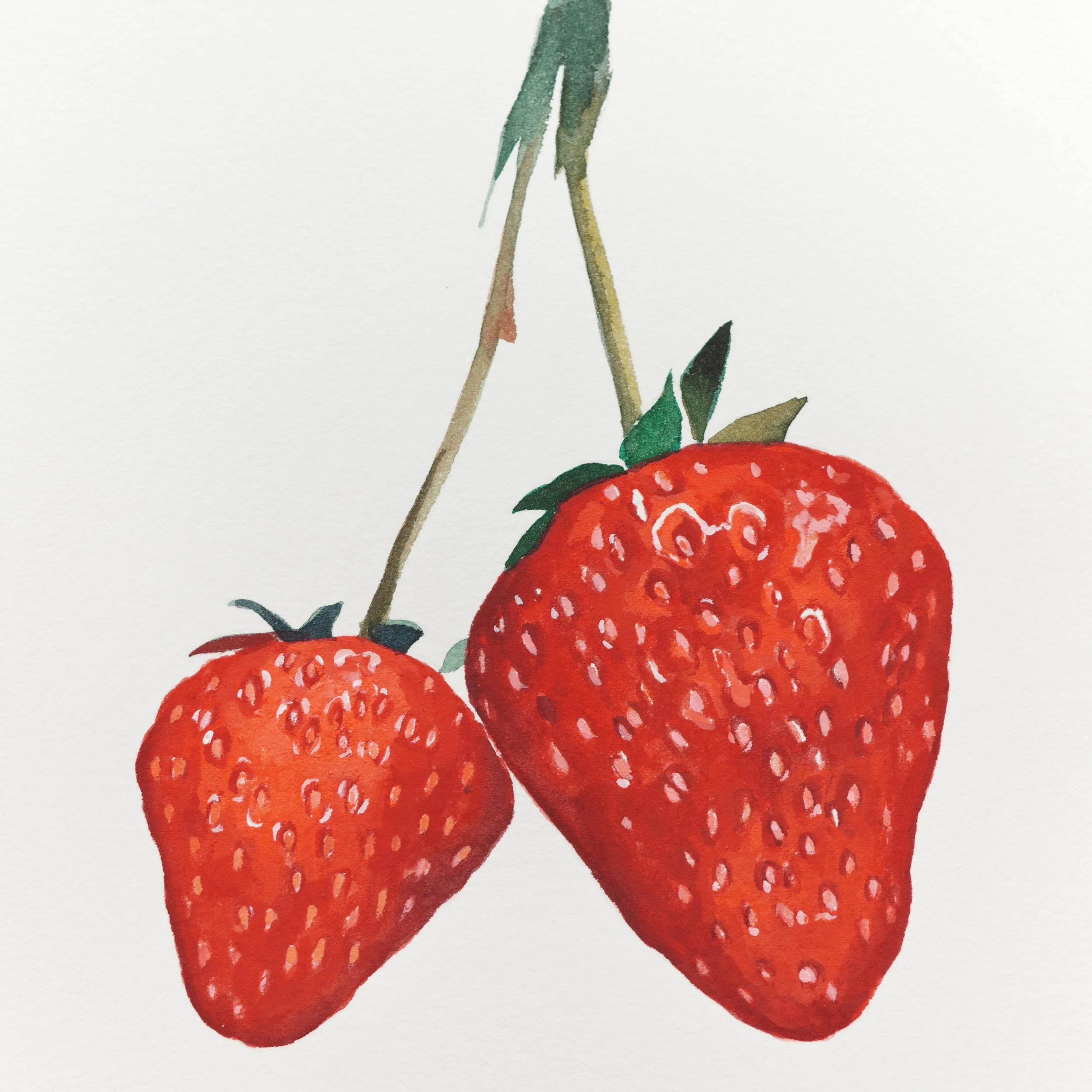 Strawberry.png