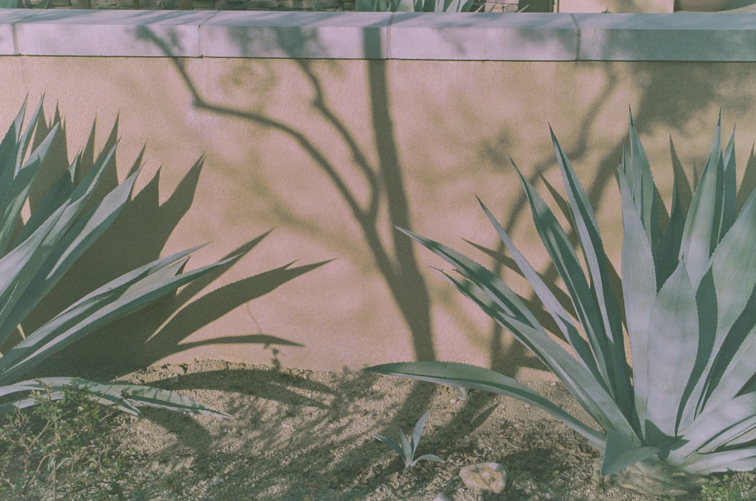 005_7A.jpg
