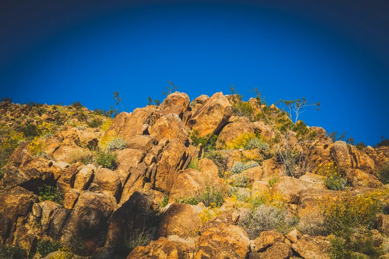 VNP01419.jpg