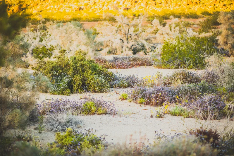 VNP01699.jpg