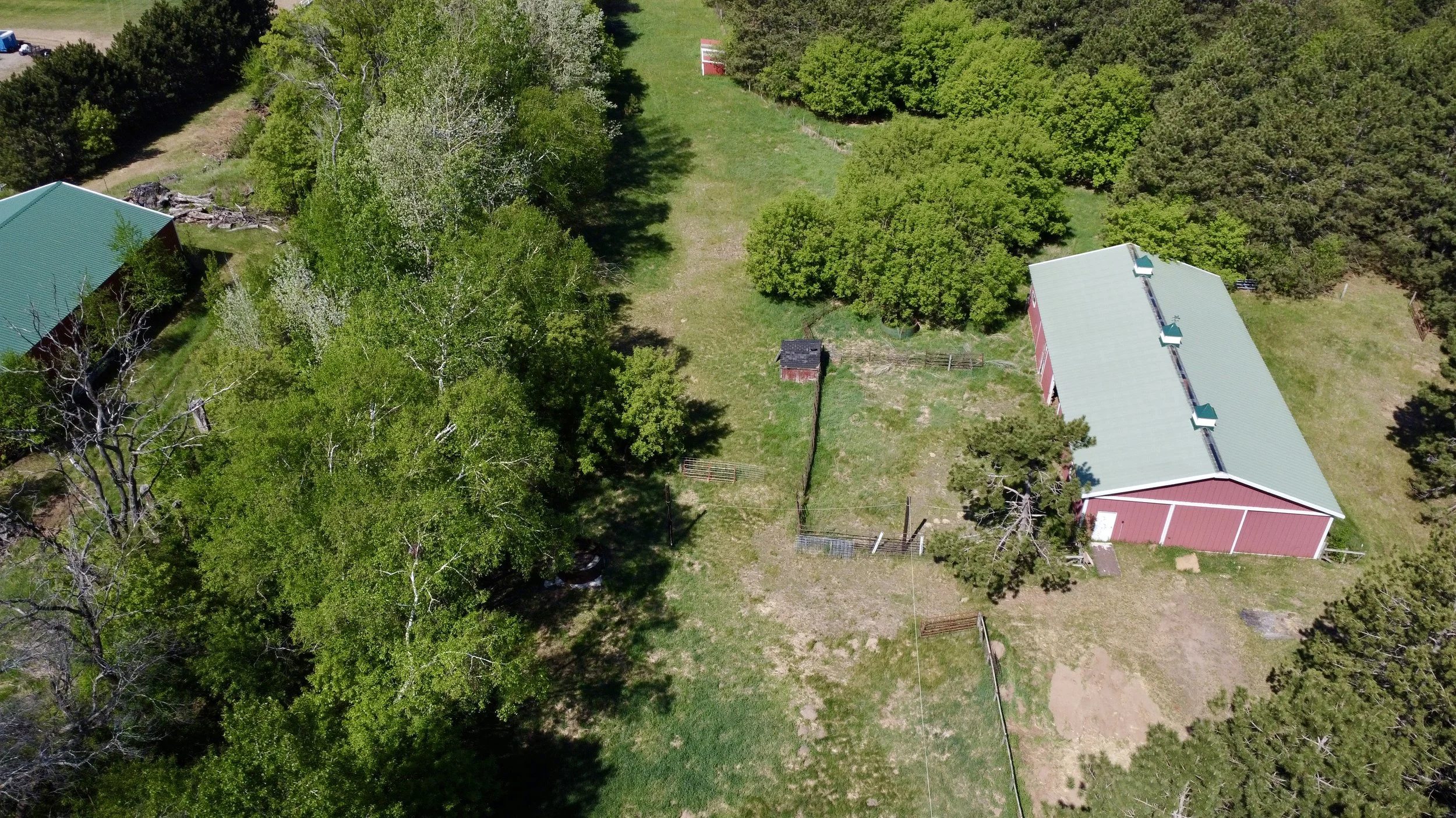 dji_fly_20260521_104408_256_1779378285315_photo_optimized.jpeg