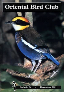 Banded Pitta, Bulletin 34 cover (Martin Hale)