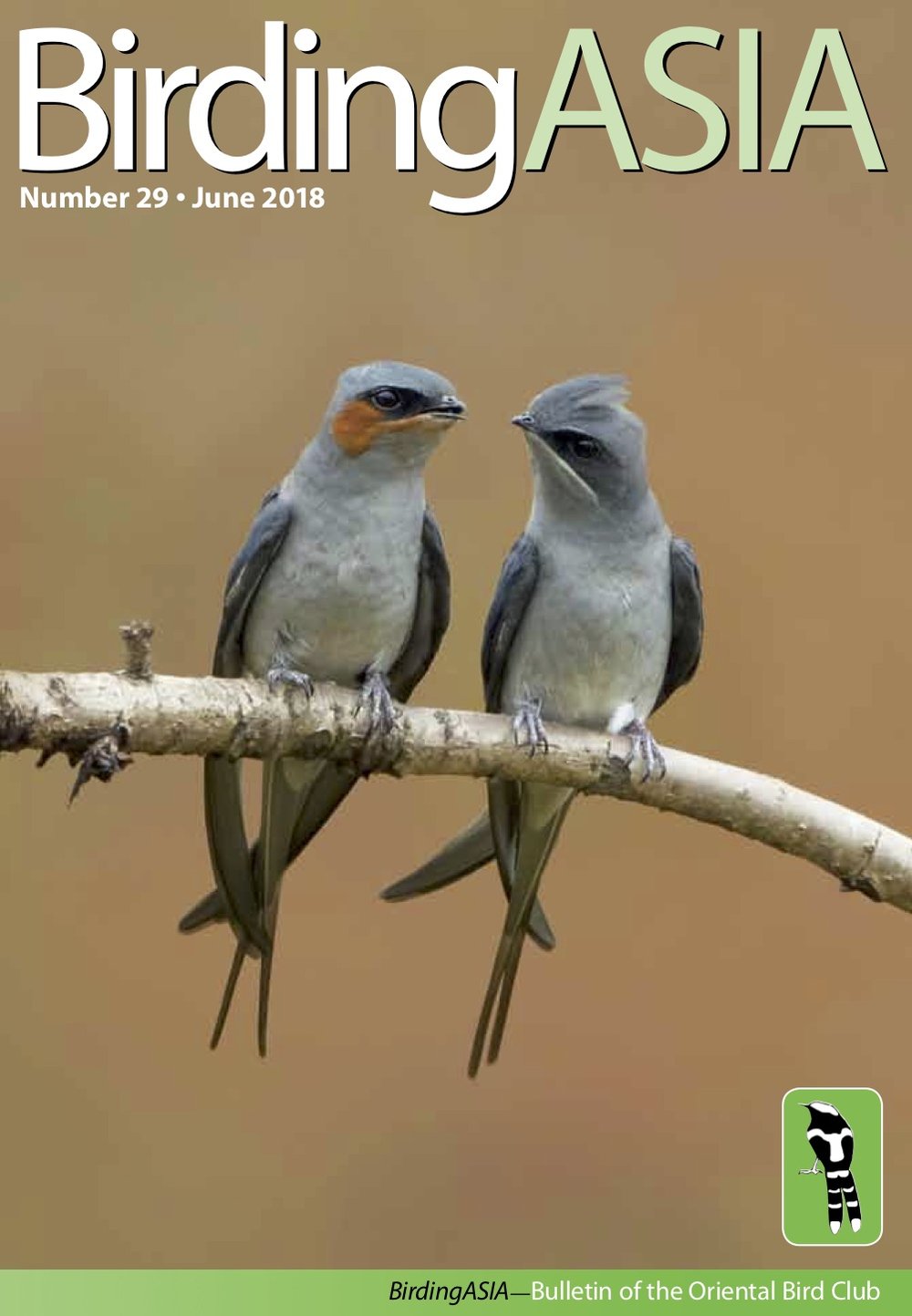 BirdingASIA 29 — Oriental Bird Club