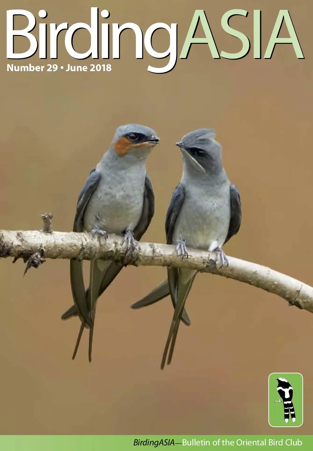 BirdingASIA29.jpg