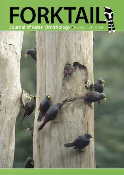 Forktail-31-cover.jpg