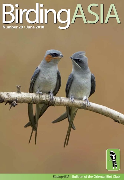 BA29-cover.jpg