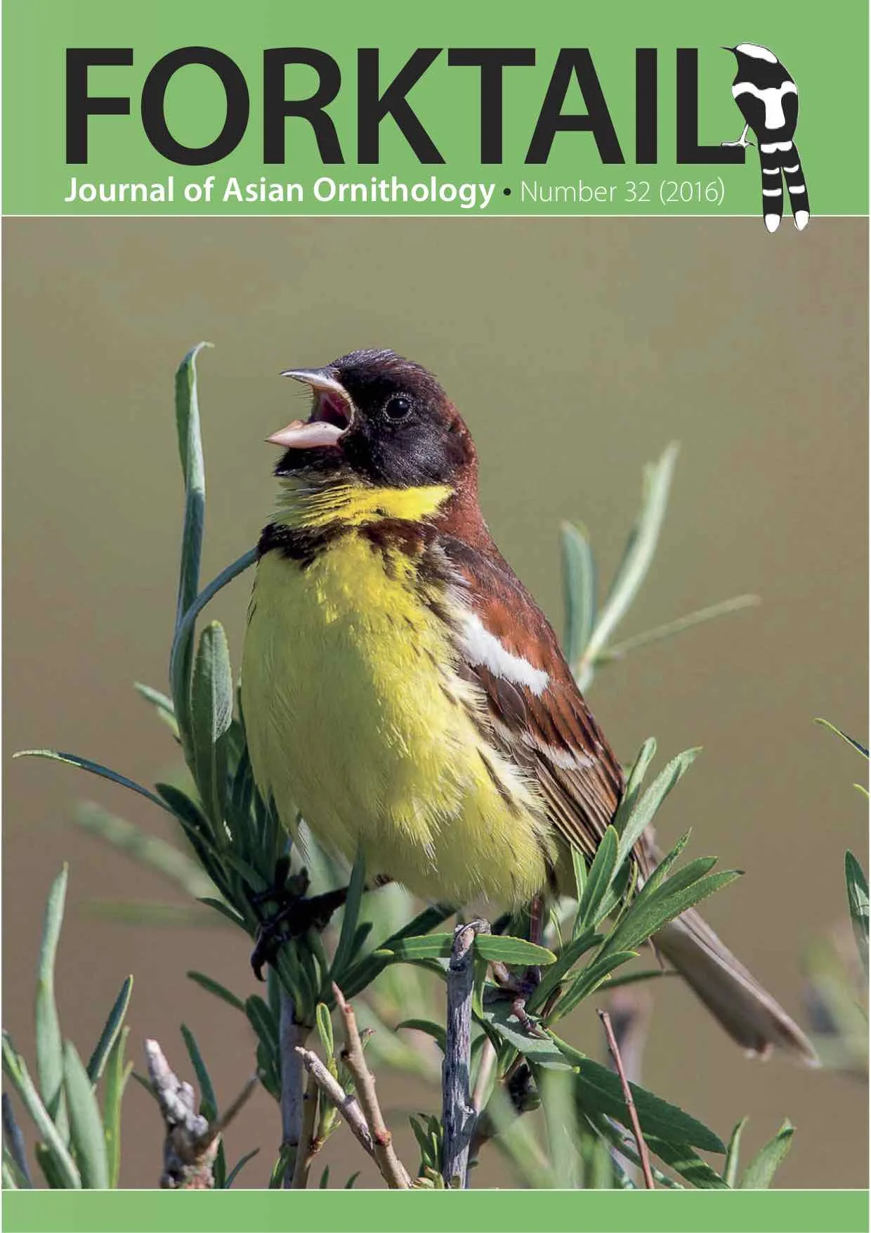 Forktail32-cover.jpg